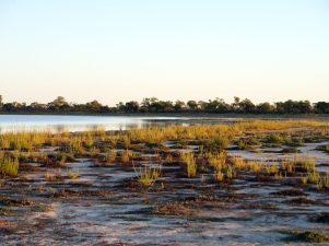 Funding Available for Critical Zone Synthesis Project